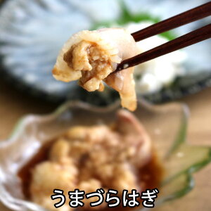  ܂Â͂ ˓CY hg  JnM̒ E}dnMi①ցj||A݂낵t