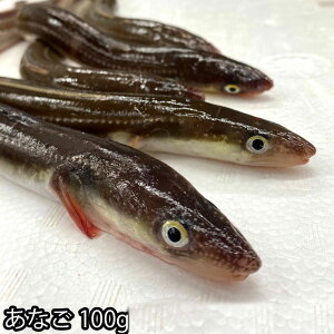 Y  q J 100gX1`50 ͊؍i①ցj Vst Ȃ AiS όq Ă q qVՂ