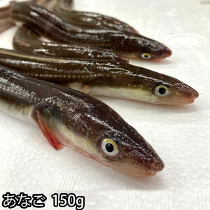 Y  q J 1150g ͊؍i①ցj Vst Ȃ AiS όq Ă q qVՂ