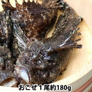 IR[ ˓CY@1180gOi①ցj  g