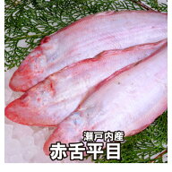 赤舌平目 （冷蔵便）瀬戸内もしくは国産 あかした ひらめ アカシタビラメ ヒラメ れんちょうかれい レン…