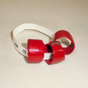 yܗցzRc s[ 31gZbg ⵗp ߂ ܔ Lbg 0`5 / 31gZbg {v { ܂  