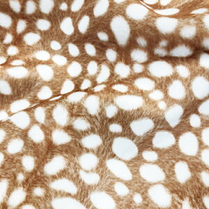 y10cmPʂ̔̔zyV[vgnzor/yRXv/Aj}z