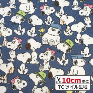 y10cmPʂ̔̔zyTCcCnzs[ibc@Xk[s[y1mȏ̂wŃ[֑IɑzyLN^[ j̎q ̎q { w n z bXobO ibvT