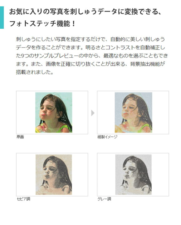 楽天市場】【2200円OFFクーポンあり！】ブラザー 刺しゅうPRO11（製品  