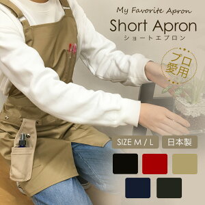 yX[p[SALE艿iz yizV[gGv LTCY 100 hV̓ { [֕s V | pI