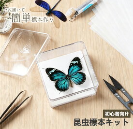 ＼期間限定10％OFF／【7点セット】昆虫標本キット 標本ツール 昆虫針 ピンセット 展翅板 はさみ 蝶 チョウ 蛾 クモ セミ トンボ カブトムシ対応 昆虫採集 初心者向け はじめて 子供 小学生 自由研究 夏休み 仕事 観察 教育用 標本ケース付き 再利用可能 操作簡単