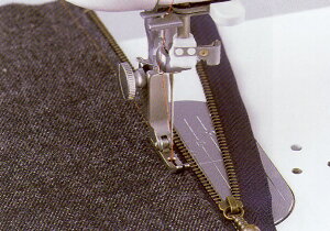 JUKIEƗp~ViW[L~VjyTLVv[ESLzWbp[RyZsz