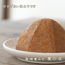《長崎麦みそ 麦の波》甘口　粒　淡色　塩分控えめ　減塩　無添加　国産原料　裸大麦　やさしい　九州