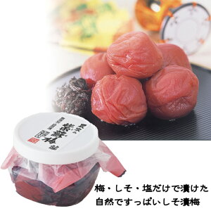 s_Ƃ̎h~@90gt14@ς@@n@ Y@IB썂~