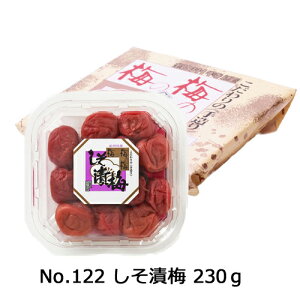 sNo.122 Д~@230gtIB썂~@n@܂₩@@10@MtgɁ@c