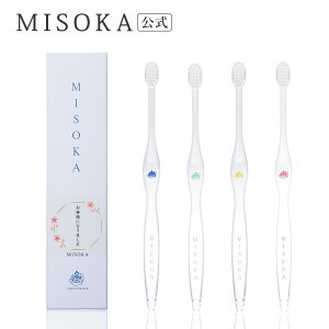 y AMtg zMISOKA{̎uV 1{Mtgyѕtzi  ӂ̋C` zp ̂܂ܓn ގ N ސE    A IWiMtg ٓ z 