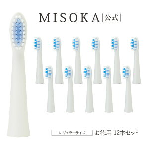 ypz MISOKA duV@փuV@M[^Cv@12{ 10000~ 2{ GRpbP[W puV ܂Ƃߔ X̔ qIȍH꒼cX璼 { yMISOKA