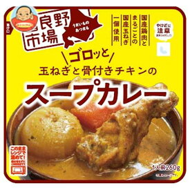 富良野 ゴロッと玉ねぎと骨付きチキンのスープカレー 260g×36袋入｜ 送料無料 レトルト カレー チキンカレー