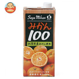 JAビバレッジ佐賀 みかん100 1L紙パック×6本入｜ 送料無料 果汁 みかん オレンジジュース 100% 温州みかん