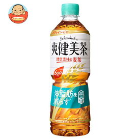 コカコーラ 爽健美茶 健康素材の麦茶 600mlペットボトル×24本入×(2ケース)｜ 送料無料 機能性表示食品 カフェインゼロ お茶 麦茶 体脂肪