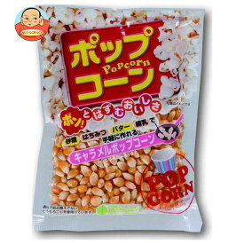 サンコク 豆印 ポップコーン 150g×10袋入｜ 送料無料 お菓子 スナック ポップコーン