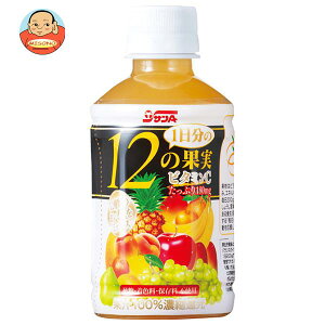 サンA 1日分の12の果実 240mlペットボトル×24本入×(2ケース)| 送料無料 果実飲料 ミックス PET フルーツ