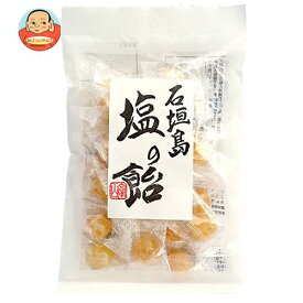 【送料無料・メーカー/問屋直送品・代引不可】井関食品 石垣島 塩の飴 100g×10袋入｜ 菓子 飴 塩飴 キャンディ