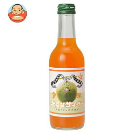 友桝飲料 夕張メロンサイダー 245ml瓶×24本入×(2ケース)｜ 送料無料 サイダー ソーダ 炭酸 スパークリング メロン 夕張メロン 果汁