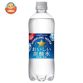 ポッカサッポロ おいしい炭酸水 600mlペットボトル×24本入×(2ケース)｜ 送料無料 スパークリング ウォーター 炭酸 ソーダ 割り材 純水 水