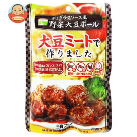 三育フーズ デミグラス風野菜大豆ボール 100g×15袋入｜ 送料無料 一般食品 大豆ミートボール 惣菜