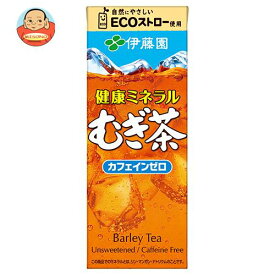 伊藤園 健康ミネラルむぎ茶 250ml紙パック×24本入×(2ケース)｜ 送料無料 伊藤園 麦茶 茶 ミネラル麦茶 お茶