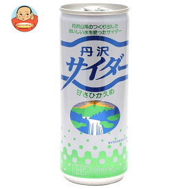 創健社 丹沢サイダー 250ml缶×30本入×(2ケース)｜ 送料無料 炭酸飲料 サイダー 缶
