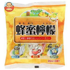 ܂ƖI IEG 20g×6×10ܓb  CX^g ݂͂ ߗp