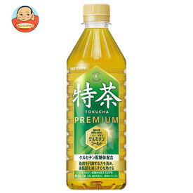 サントリー 伊右衛門(いえもん) 特茶【自動販売機用】【特定保健用食品 特保】 500mlペットボトル×24本入×(2ケース)｜ 送料無料 特保 トクホ お茶 体脂肪 自販機用 PET