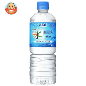 アサヒ飲料 おいしい水 天然水【自動販売機用】 600mlペットボトル×24本入×(2ケース)｜ 送料無料 ミネラルウォーター 天然水 軟水 水