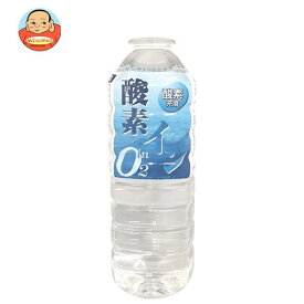 奥長良川名水 酸素イン 500mlペットボトル×24本入×(2ケース)｜ 送料無料 天然水 ミネラルウォーター 500ml 水 酸素水