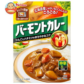 [ポイント5倍！6/11(火)1時59分まで全品対象エントリー&購入]ハウス食品 バーモントカレー 中辛 200g×30個入×(2ケース)｜ 送料無料 カレー 中辛 レトルト食品