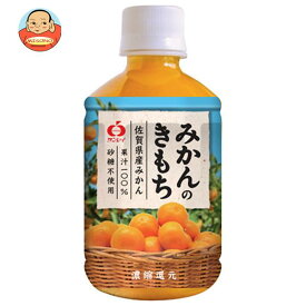 JAビバレッジ佐賀 みかんのきもち 280mlペットボトル×24本入×(2ケース)｜ 送料無料 果汁 みかん オレンジジュース 100% ペットボトル