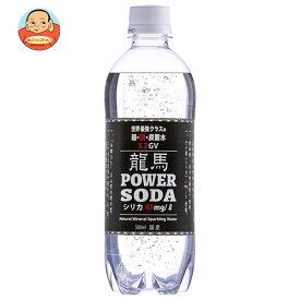 日本ビール 龍馬パワーソーダ 500mlペットボトル×24本入×(2ケース)｜ 送料無料 炭酸飲料 割材 ソーダ水