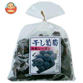 ナガトク 干し葡萄 大粒レーズン 400g×5袋入｜ 送料無料 乾燥果実 ドライフルーツ レーズン ぶどう ブドウ