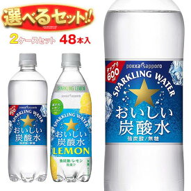 ポッカサッポロ おいしい炭酸水・おいしい炭酸水レモン 選べる2ケースセット 500・600mlペットボトル×48(24×2)本入｜ 送料無料 選べる 炭酸 ソーダ 割り材 水