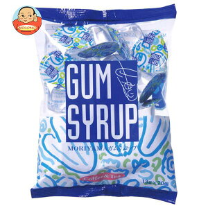 守山乳業 ガムシロップ20 (13g×20個)×20個入×(2ケース)| 送料無料 ガムシロップ シロップ