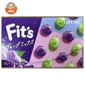 ロッテ Fit’s グレープミックス 12枚×10個入｜ 送料無料 お菓子 ガム フィッツ ぶどう 葡萄 ブドウ