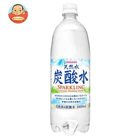 サンガリア 伊賀の天然水 炭酸水 1Lペットボトル×12本入｜ 送料無料 炭酸水 炭酸 ソーダ 割り材 天然水 スパークリング