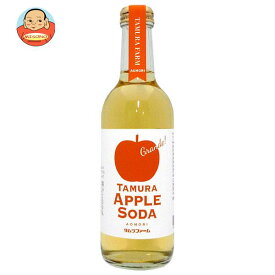 タムラファーム タムラアップルソーダ グランデ 300ml瓶×20本入×(2ケース)｜ 送料無料 りんごジュース 炭酸