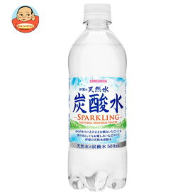 サンガリア 伊賀の天然水 炭酸水 500mlペットボトル×24本入×(2ケース)｜ 送料無料 炭酸飲料 炭酸水 ソーダ 割り材 PET