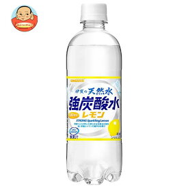 サンガリア 伊賀の天然水 強炭酸水 レモン 500mlペットボトル×24本入×(2ケース)｜ 送料無料 炭酸飲料 炭酸水 ソーダ 割り材 PET 強炭酸