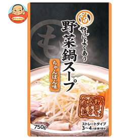 アドバンス もやしによくあう 野菜鍋スープ ちゃんぽん味 750g×12袋入×(2ケース)｜ 送料無料 調味料 鍋スープ 鍋つゆ だし