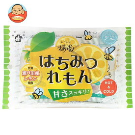 桜南食品 はちみつれもん (22g×4)×15袋入｜ 送料無料 ドリンク 粉末 インスタント ハチミツ レモン