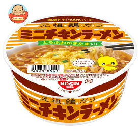 日清食品 チキンラーメン どんぶりミニ 38g×24(12×2)個入｜ 送料無料 インスタント麺 ラーメン 即席