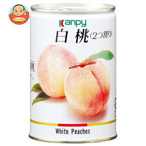 Js[ Y(JAS) 425g×24×(2P[X)b  ʋl Â t[c ʎ    s[`