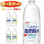 サンガリア 伊賀の天然水 炭酸水 選べる2ケースセット 1Lペットボトル×24(12×2)本入｜ 送料無料 炭酸水 1l 炭酸 伊賀の天然水 強炭酸水 1000ml