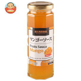 和歌山産業 マンゴーソース 160g×12本入｜ 送料無料 調味料 フルーツ ソース 果物 マンゴー