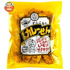 まるせん米菓 がんこ名人 半熟カレーせん 70g×12袋入｜ 送料無料 お菓子 おかし 菓子 せんべい